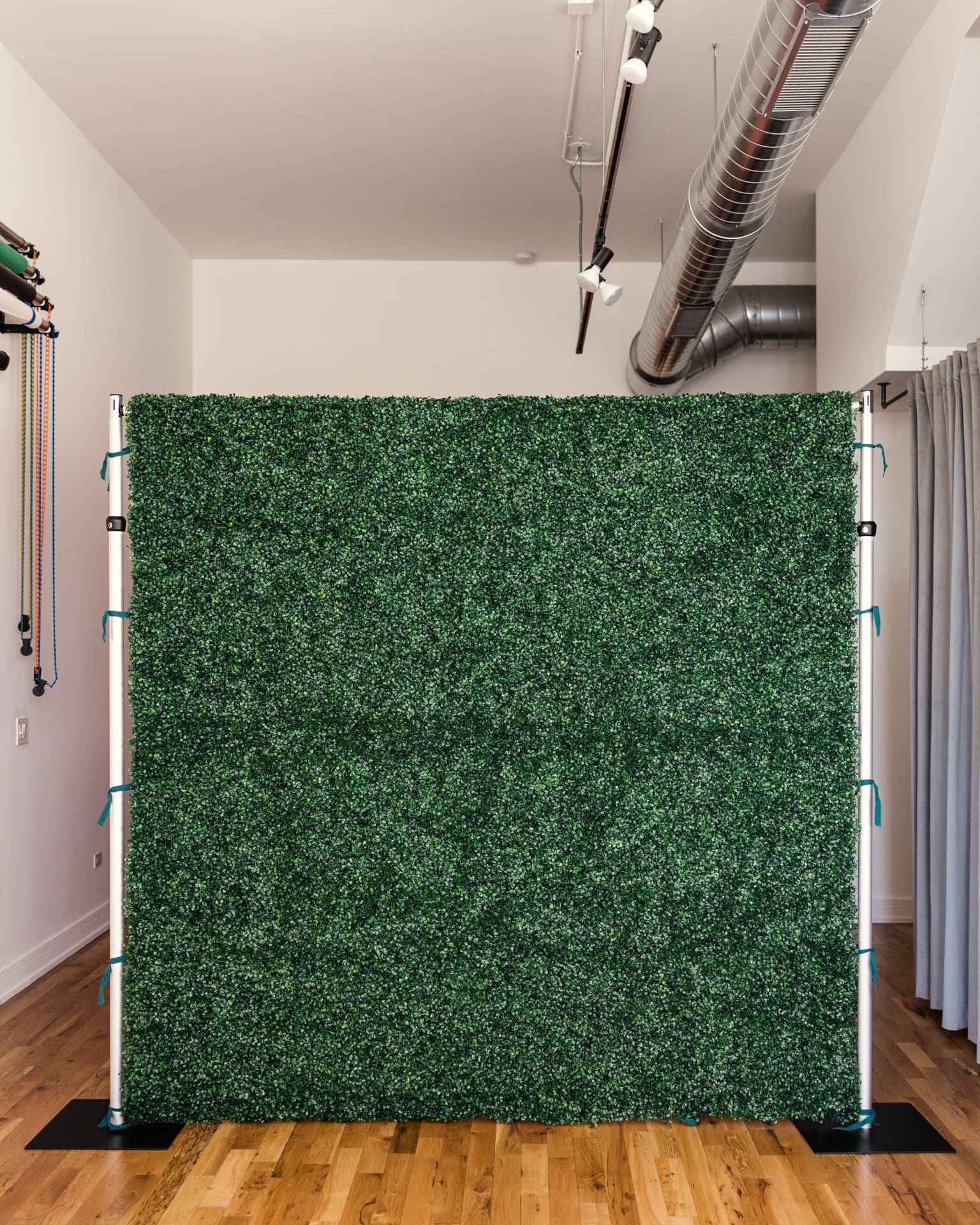 Boxwood greenery flower wall set up in Chicago photography studio P&M Studio