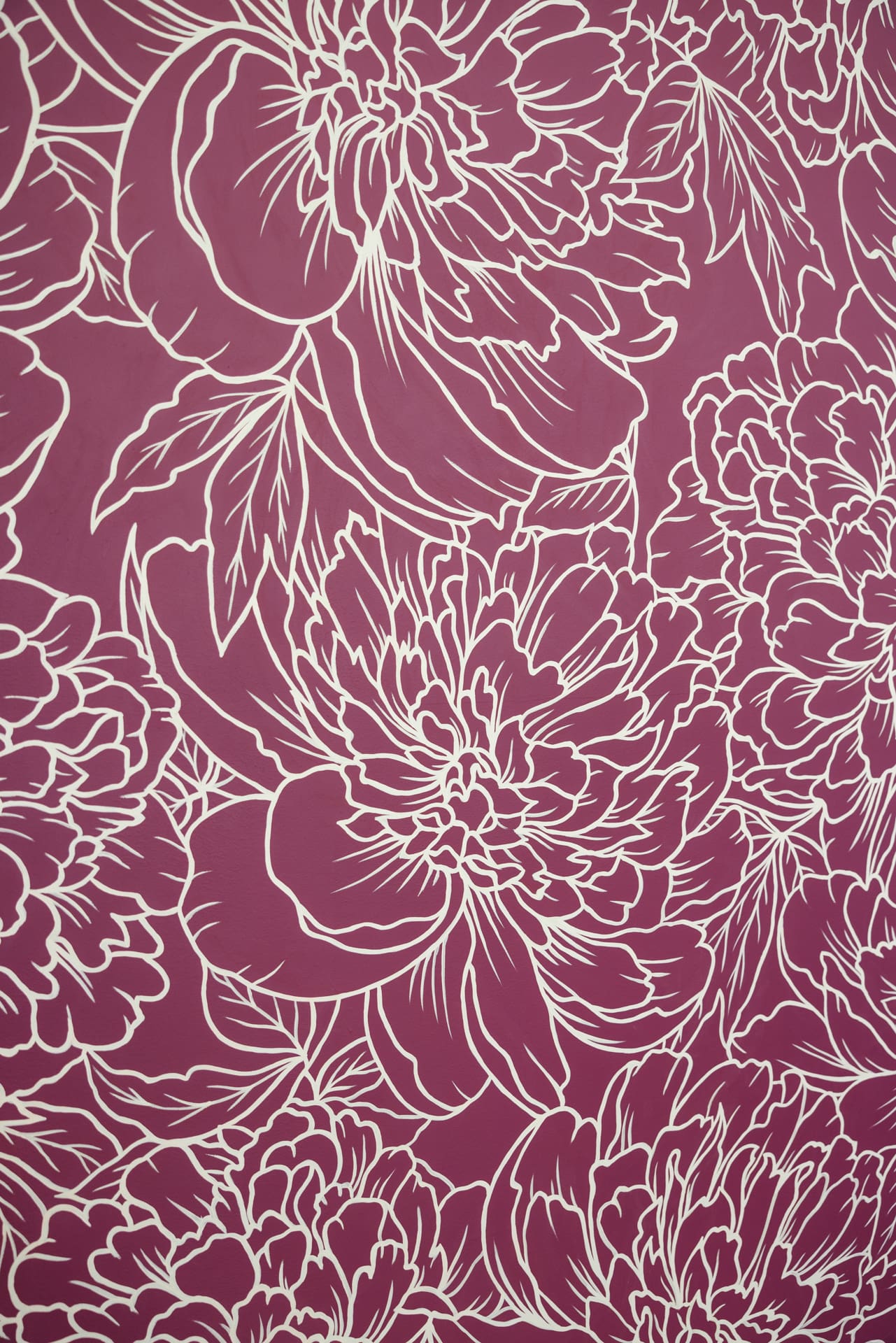 Detail photo of custom floral mural in Raspberry Crush inside natural light photography studio P&M Studio Chicago